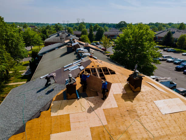 Best Storm Damage Roof Repair  in Newbern, TN