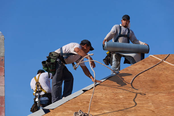 Best Roof Gutter Cleaning  in Newbern, TN