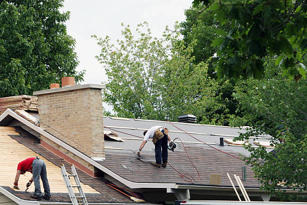 Roof Gutter Cleaning in Newbern, TN