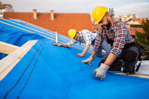 Quick and Trustworthy Emergency Roof Repair Services in Newbern, TN