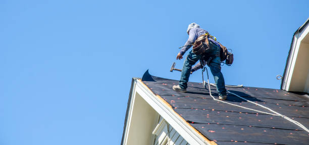 Roof Waterproofing Services in Newbern, TN